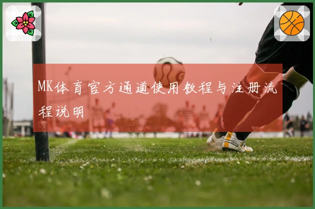 MK体育官方通道使用教程与注册流程说明